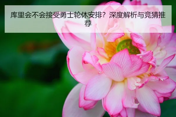 库里会不会接受勇士轮休安排？深度解析与竞猜推荐