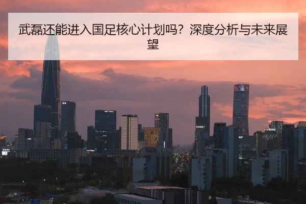 武磊还能进入国足核心计划吗？深度分析与未来展望